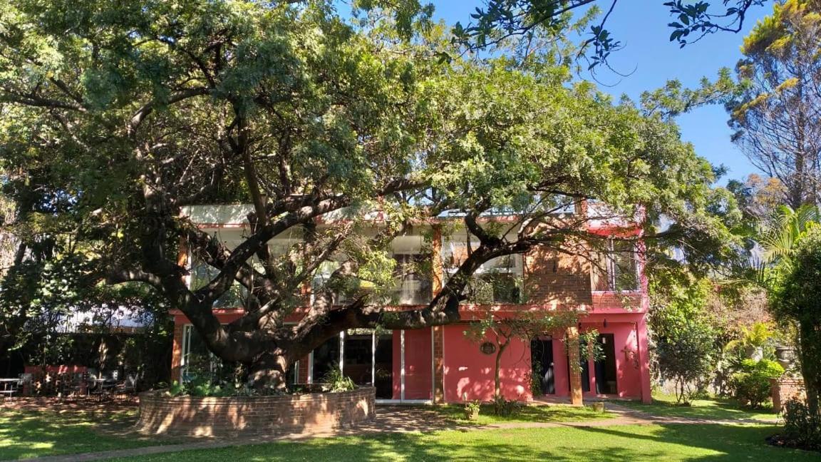 Casa Amor Tepoztlán Zewnętrze zdjęcie