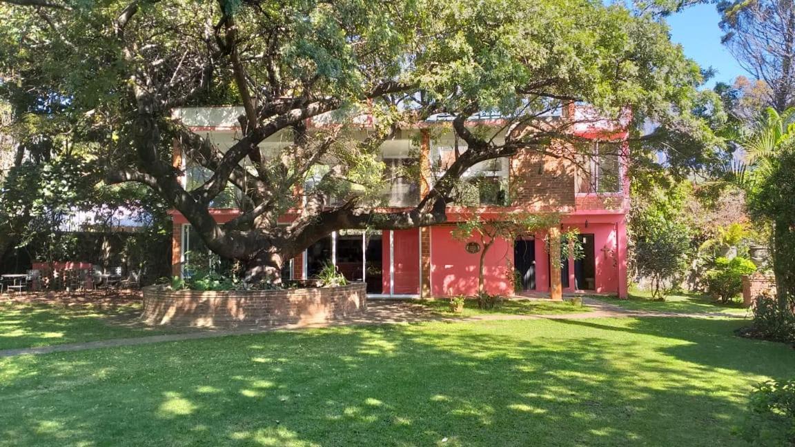 Casa Amor Tepoztlán Zewnętrze zdjęcie
